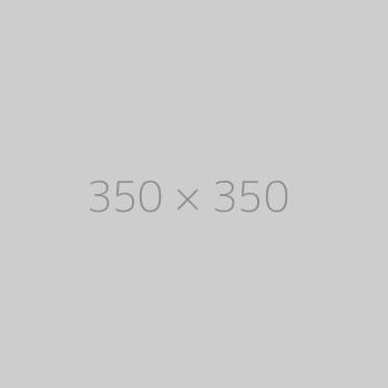 hongo 350x350-ph
